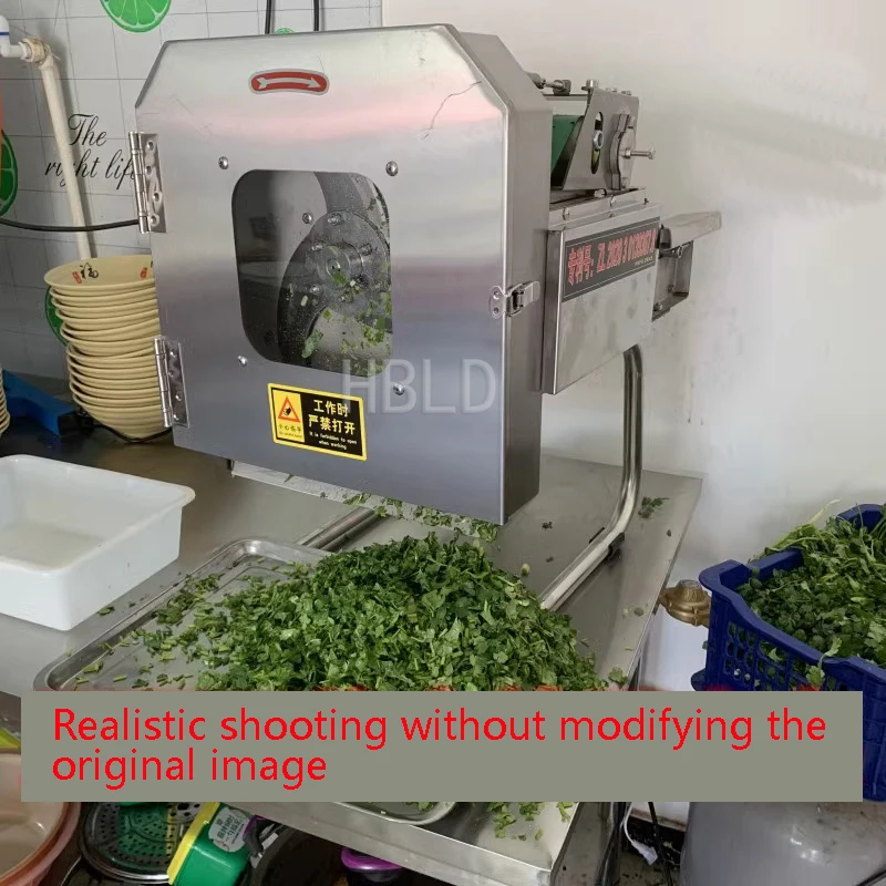Small Electric Vegetable Cutte - Kitchen Appliances Green review and price
